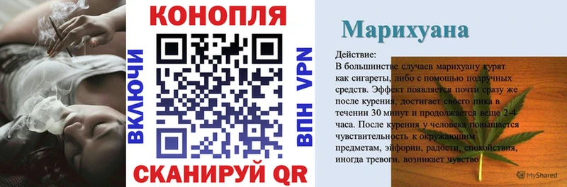 Каннабис планчик  как найти   Ладушкин 